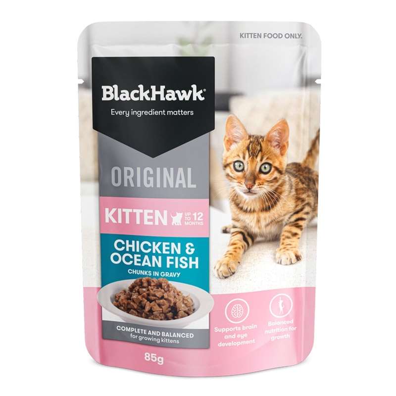 Black Hawk Wet Kitten Food Chicken and Ocean Fish
