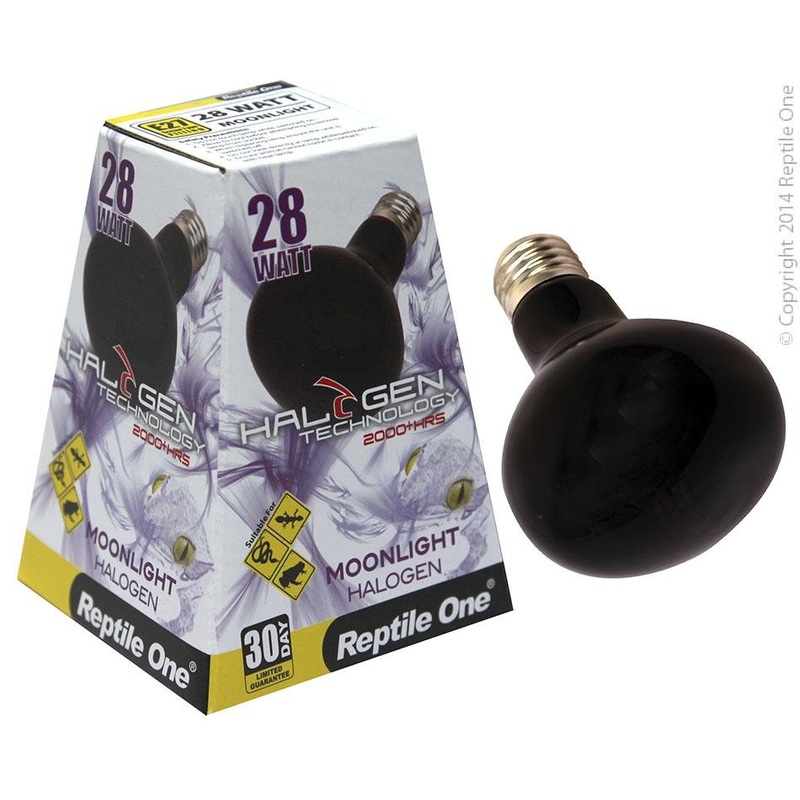 Reptile One Halogen Heat Lamp Moonlight