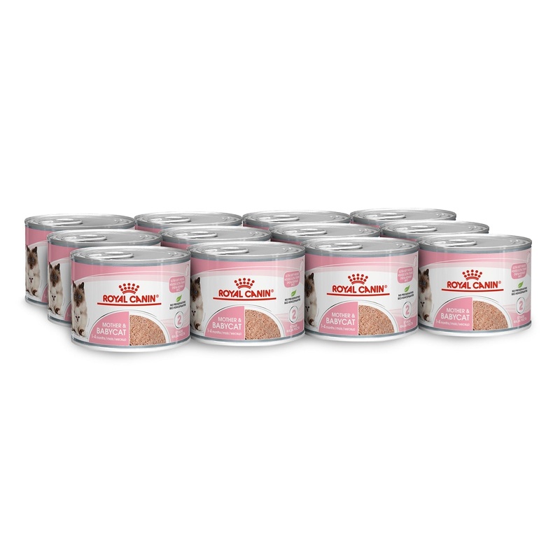 Royal Canin Wet Cat Food Mother and Babycat cans 12x195g