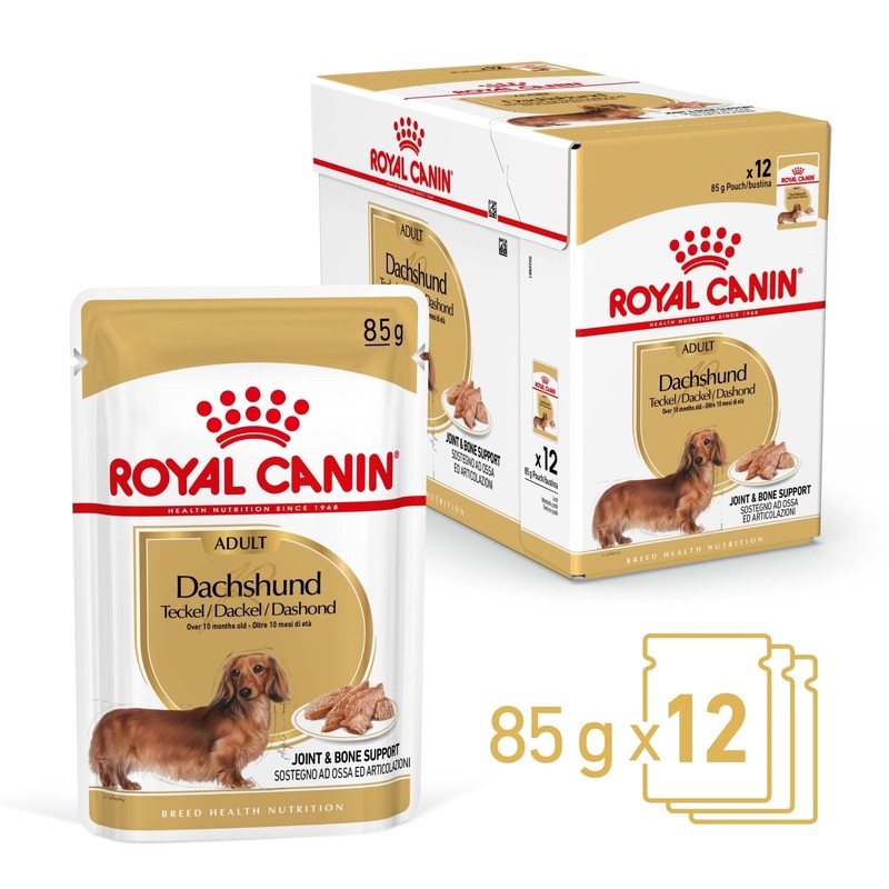 Royal Canin Wet Dog Food Dachshund 12x85g