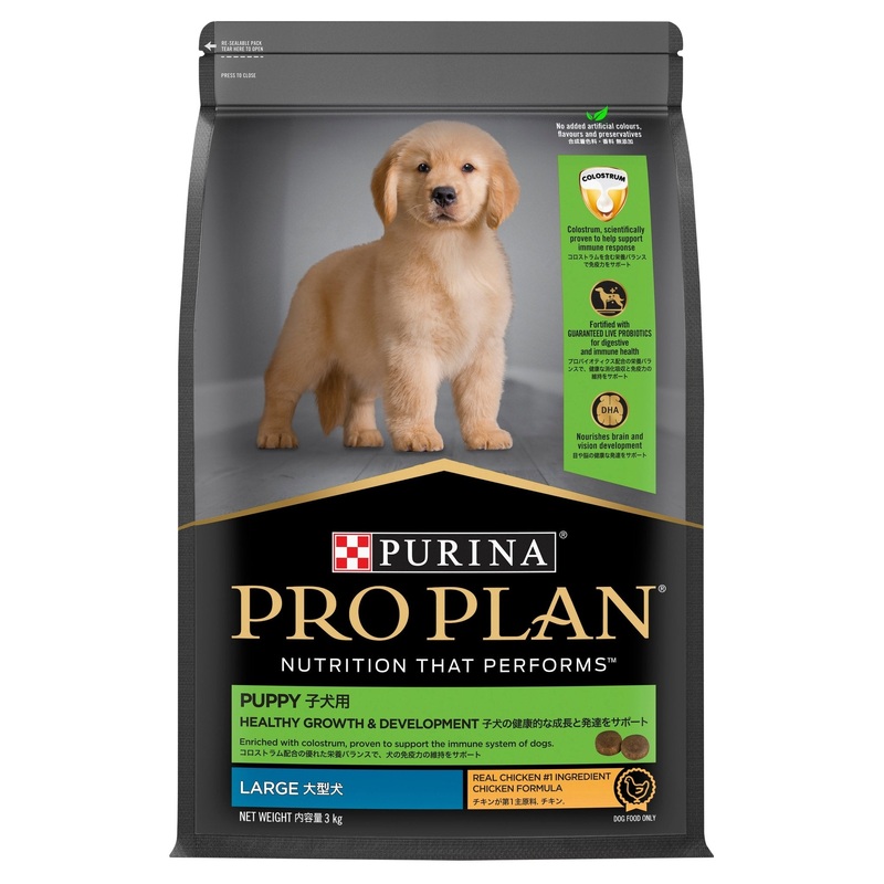 Pro Plan Dog Dry Food Puppy Large Breed Chicken