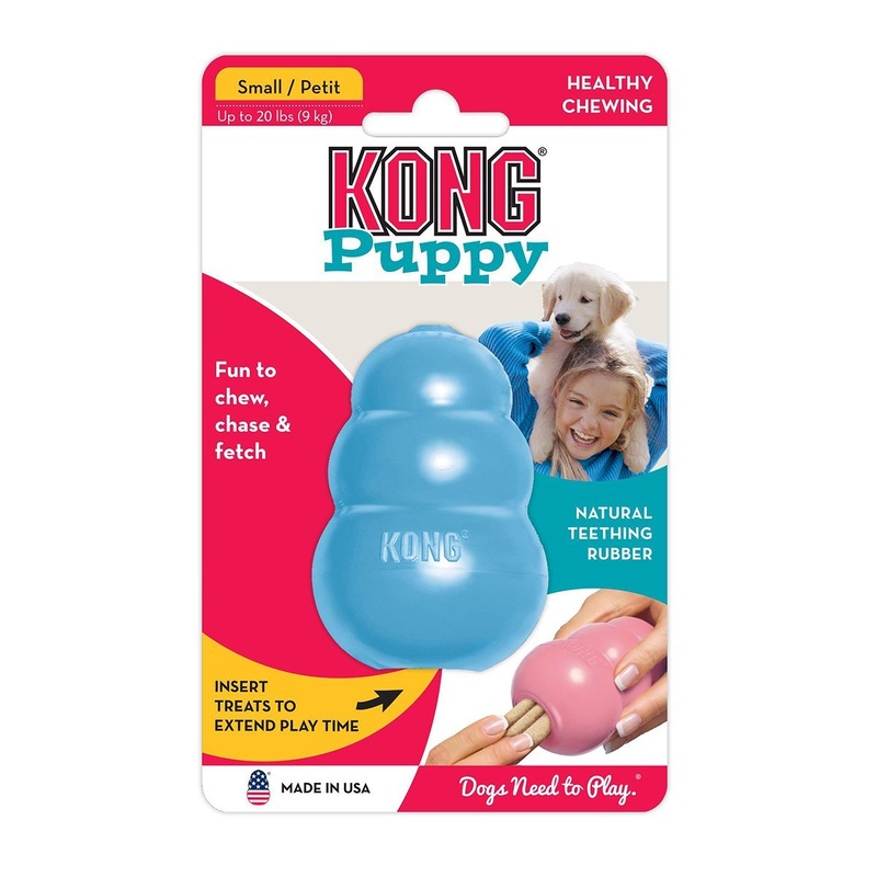 KONG Puppy