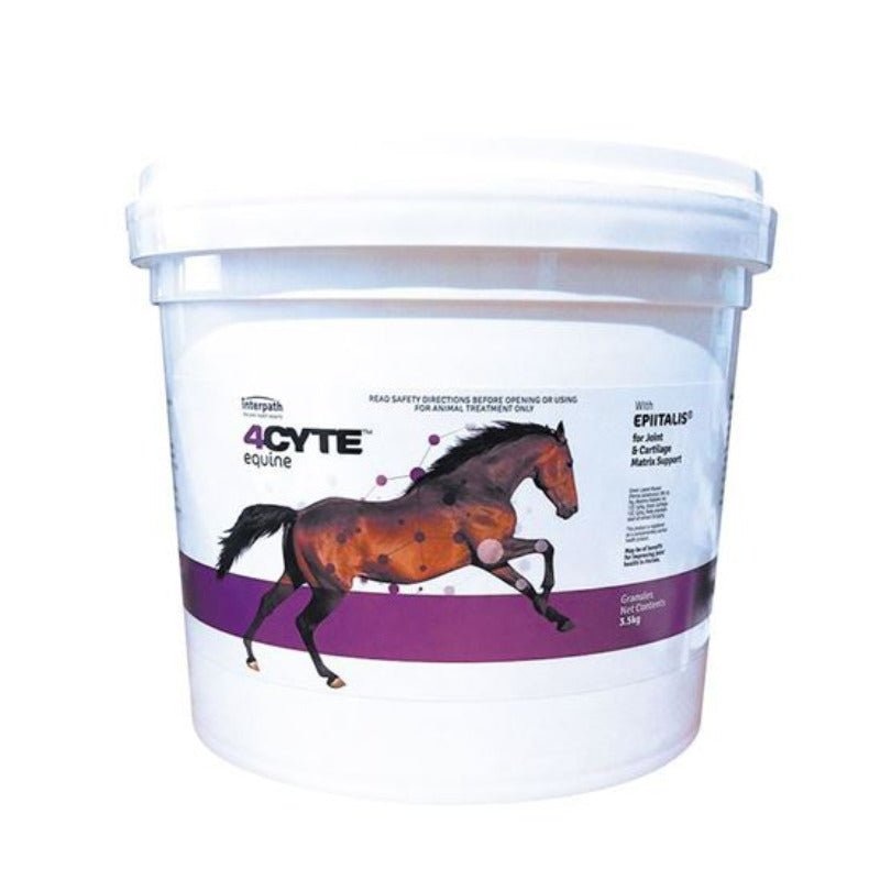 4CYTE Equine Granules 700g