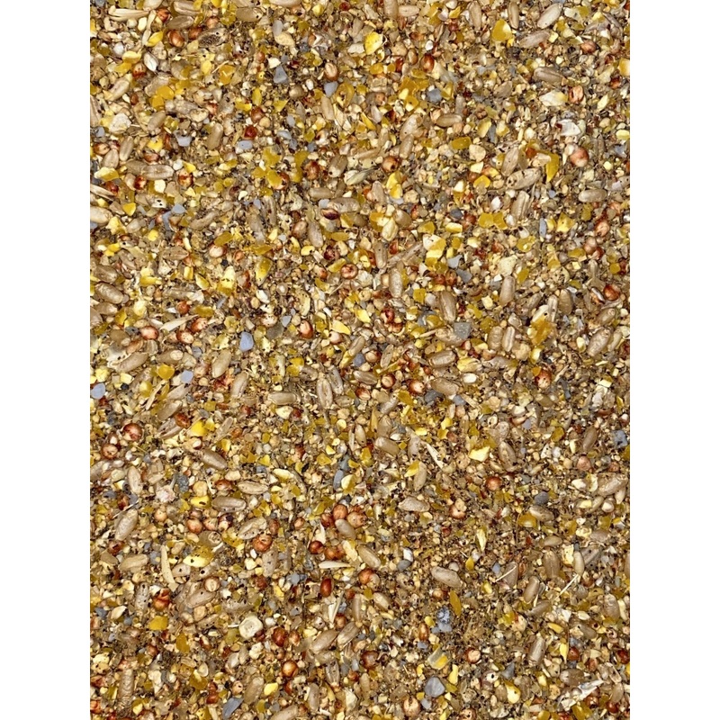 Barastoc Top Layer Mash per