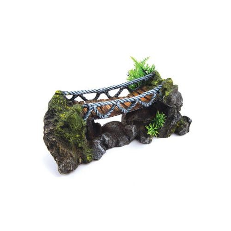 Kazoo Rope Bridge With Plants