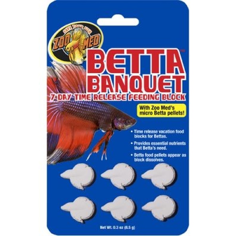 Zoo Med Betta Banquet Block 6 Pack