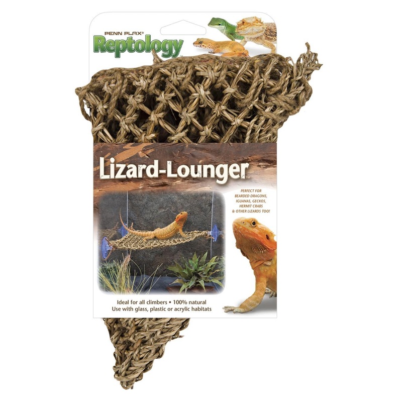 Lizard Loungers Corner