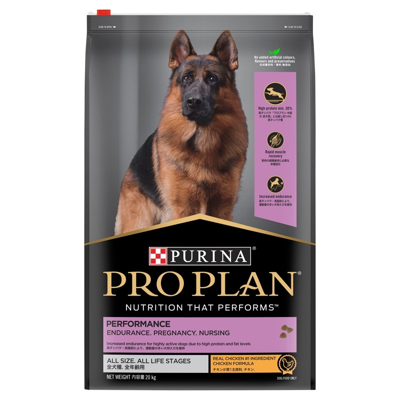 Pro Plan Dog Dry Food Performance