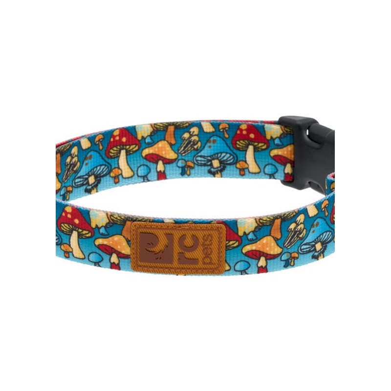 RC Pet Eco Dog Collar - M 1" - Funky Fungi