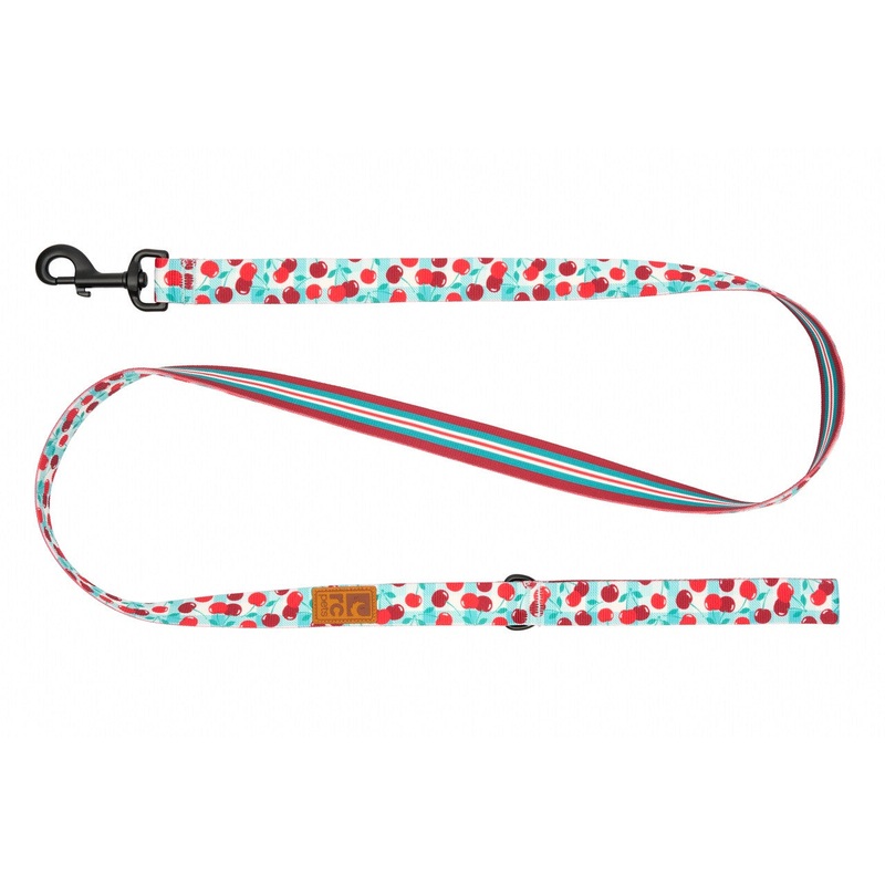 RC Pet Eco Dog Leash - 3/4' x 5' - Cherry Picnic