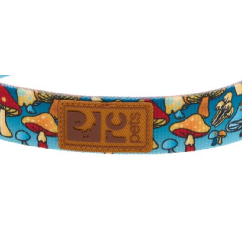 RC Pet Eco Dog Leash - 3/4" x 5' - Funky Fungi