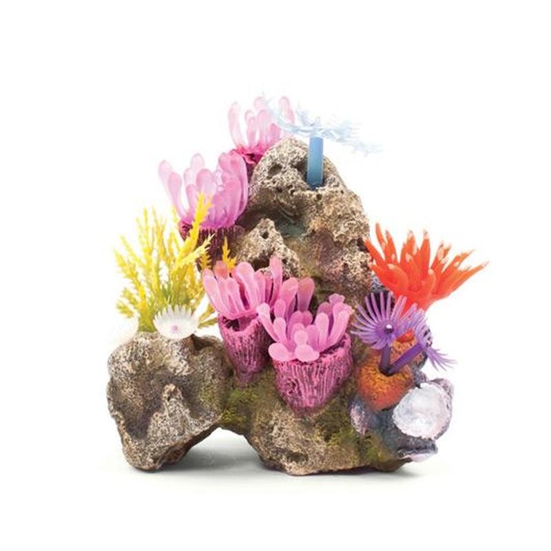 Kazoo Soft Coral Garden Rock Small