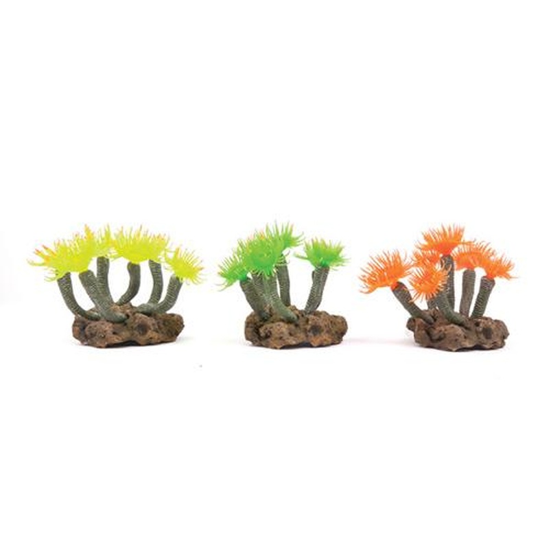 Kazoo Soft Coral With Rock Medium Orange/Yellow