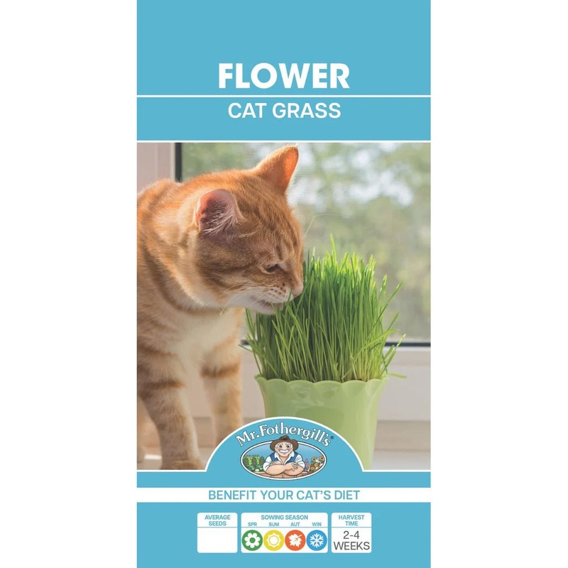 Mr Fothergills Cat Grass