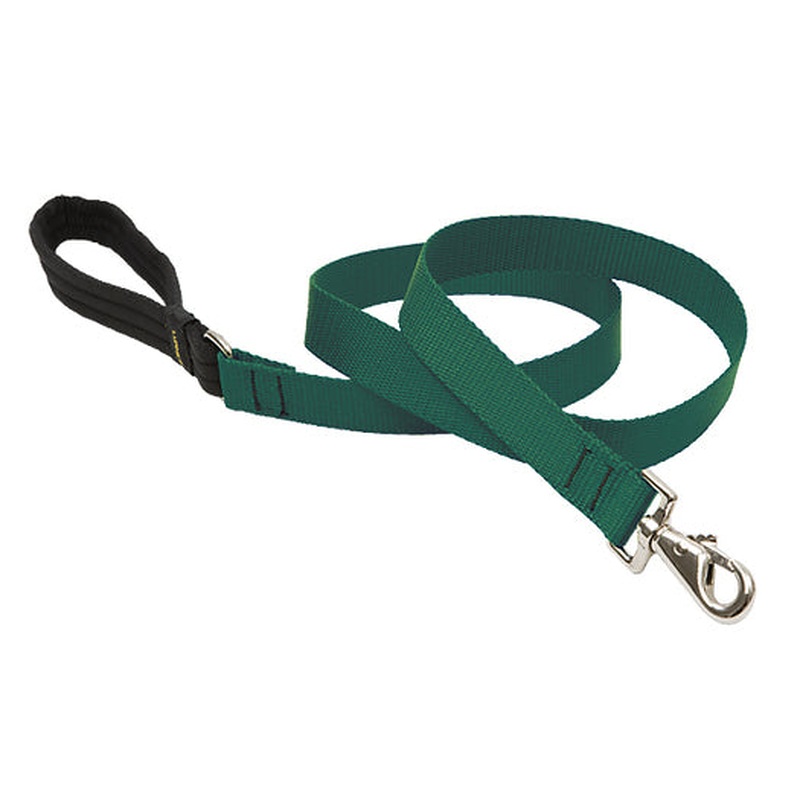 Lupine Large Dog Basics Padded Handle Leash Green 6'x1"