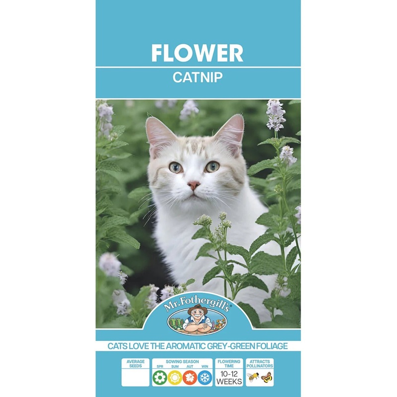 Mr Fothergills Catnip