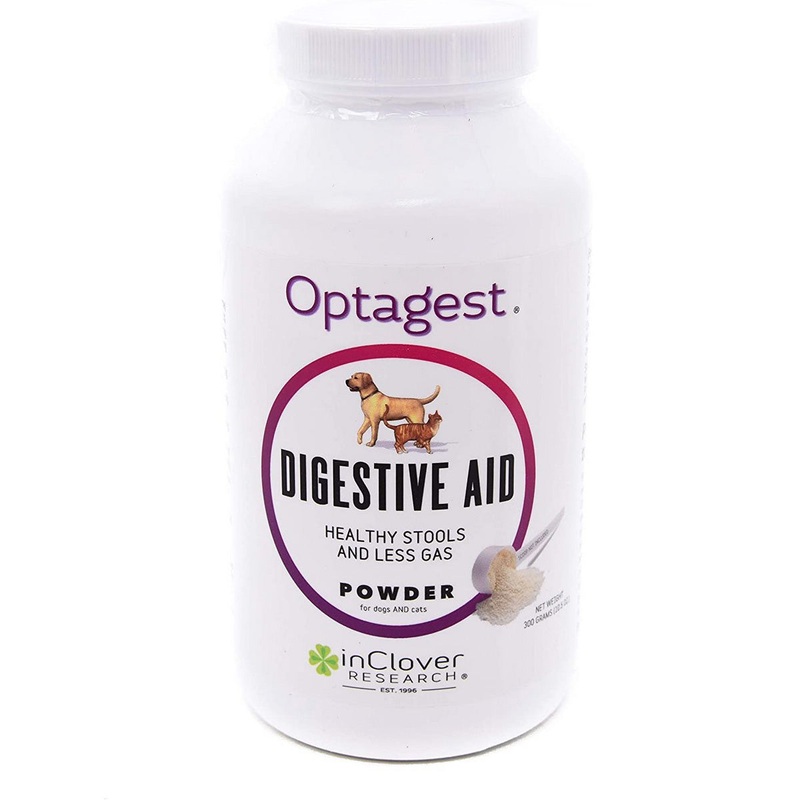 inClover Optagest Prebiotics & Enzymes Supplement for Dogs & Cats - 300gm Powder