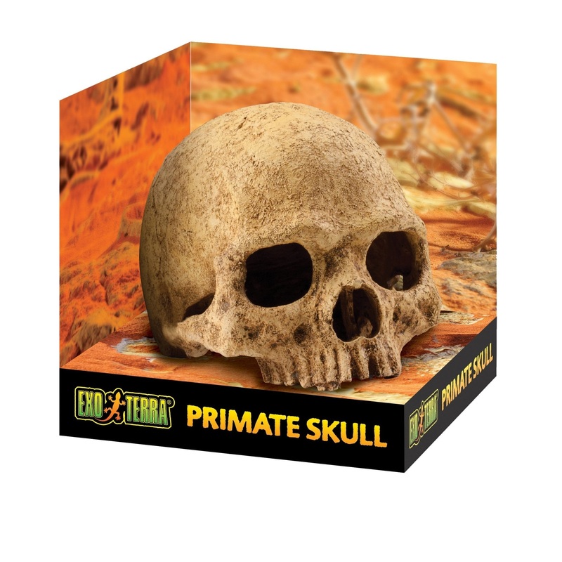 Exo Terra Primate Skull Large