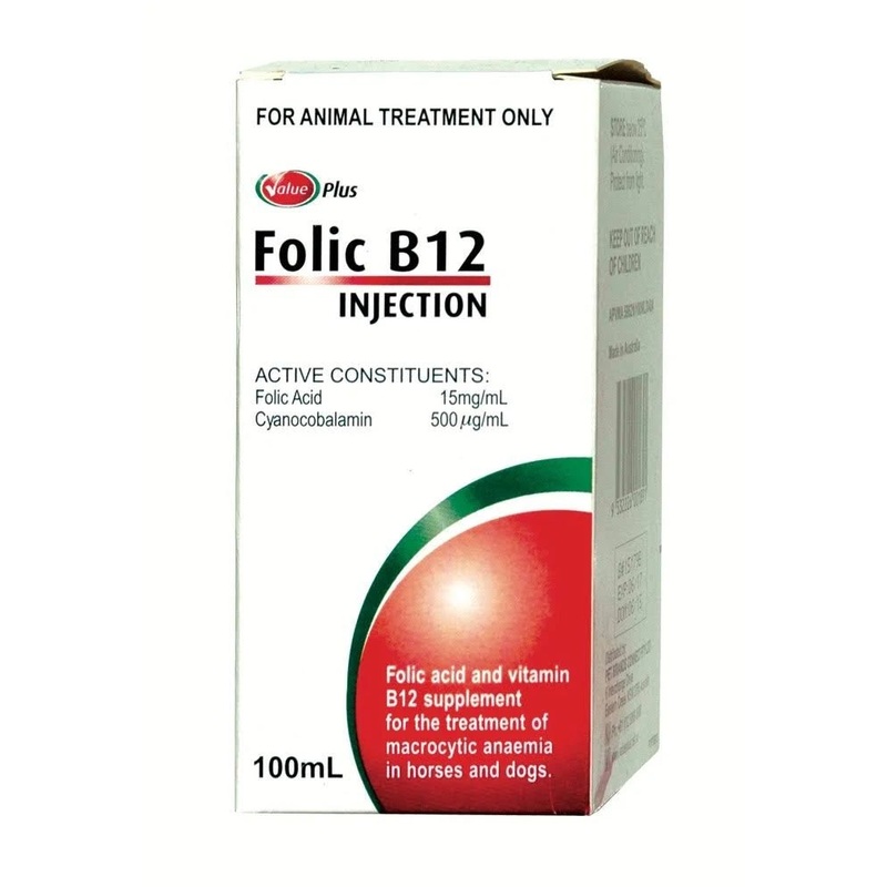 Folic B12 100ml Value Plus