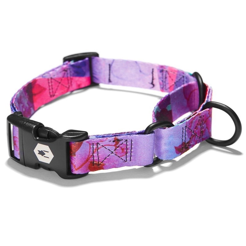 Coastal Drop Wolfgang Martingale DayDream XLarge Dog Collar 22-29"