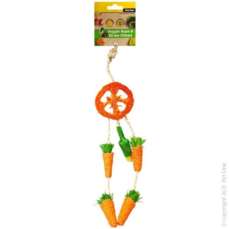 Pet One Veggie Rope and Straw Chew Hanging Dreamcatch