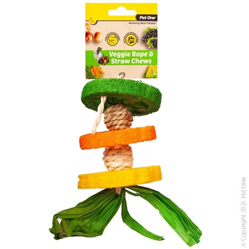 Pet One Veggie Rope and Straw Chew Hanging Hula