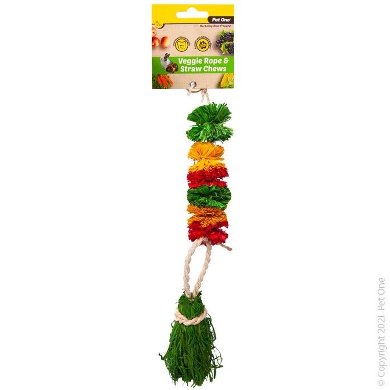 Pet One Veggie Rope and Straw Chew Hanging Pom Poms