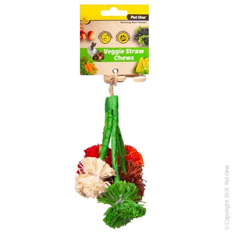 Pet One Veggie Straw Broccoli Hanging