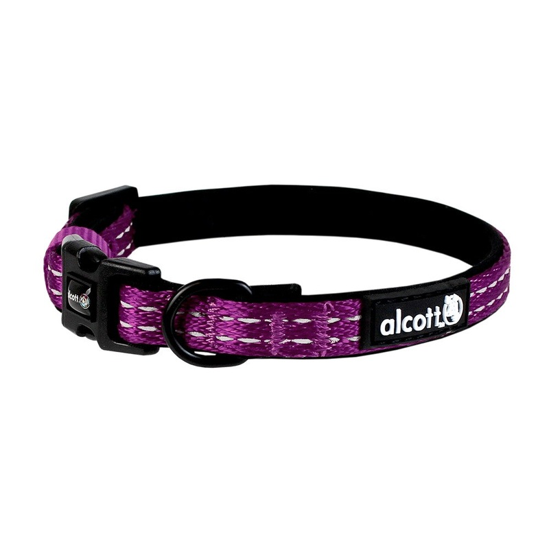 Alcott Adventure Dog Collar - Small 10-14" - Purple