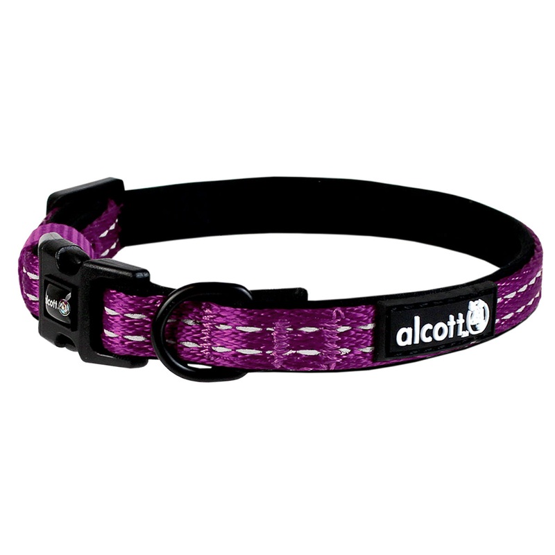 Alcott Adventure Dog Collar - X-Small 7-11" - Purple