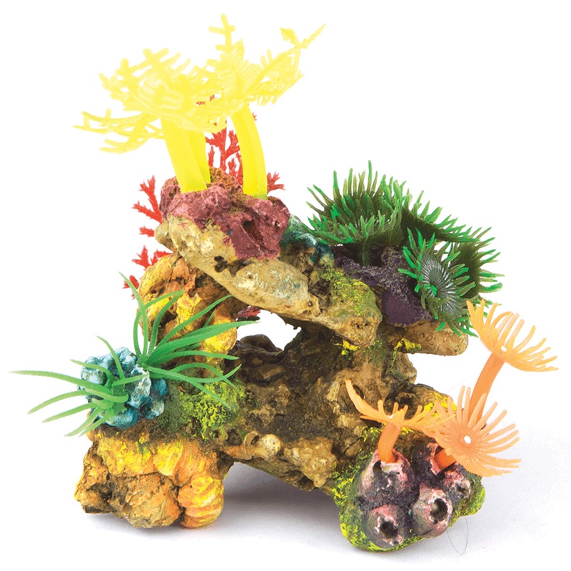 Kazoo - Soft Coral Stone W/Plants