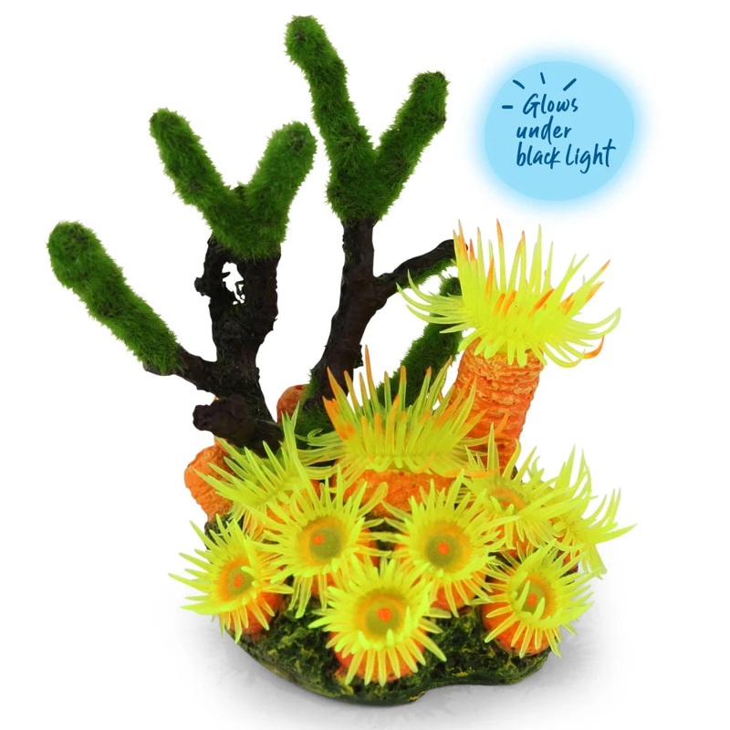 Kazoo - Soft Coral W/Textured Moss
