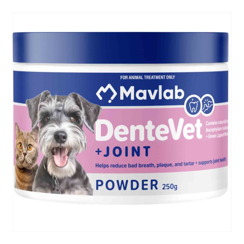 Mavlab Dentevet + Joint