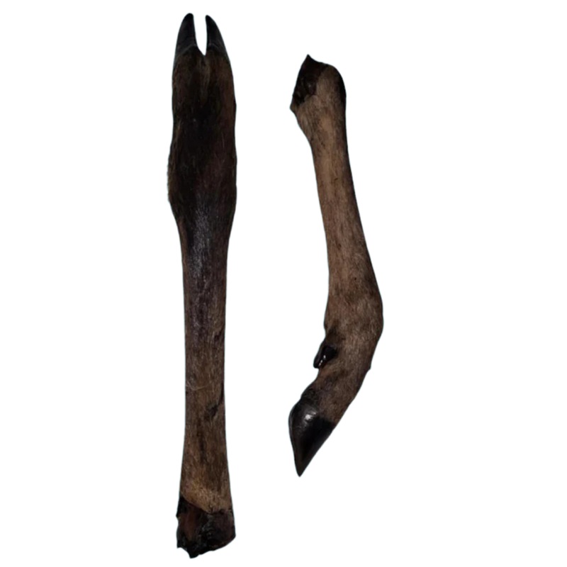 Kirby Pet Treats - Dehydrated Deer Trotters