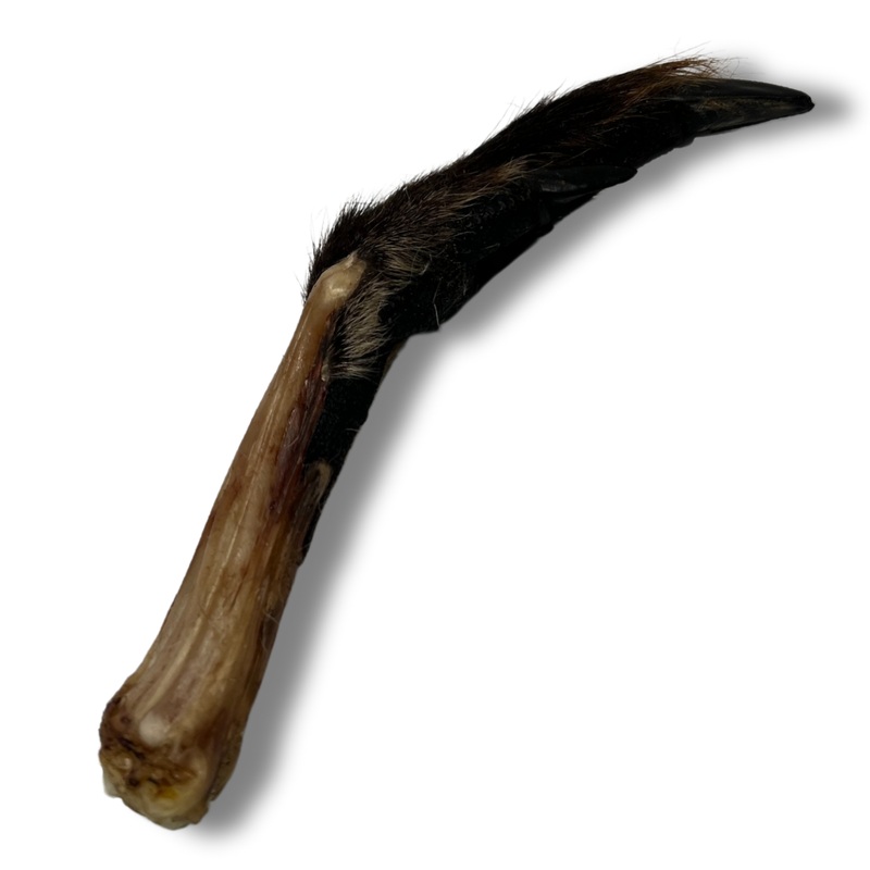 Kirby Pet Treats - Dehydrated Wallaby Hoppers