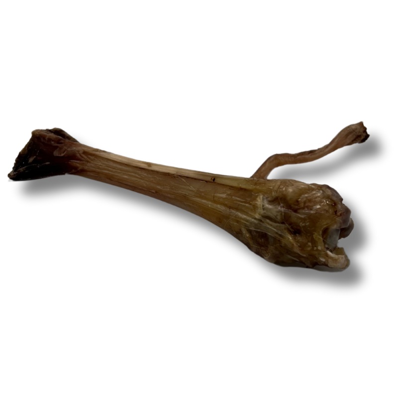 Kirby Pet Treats - Wallaby Leg Knobs