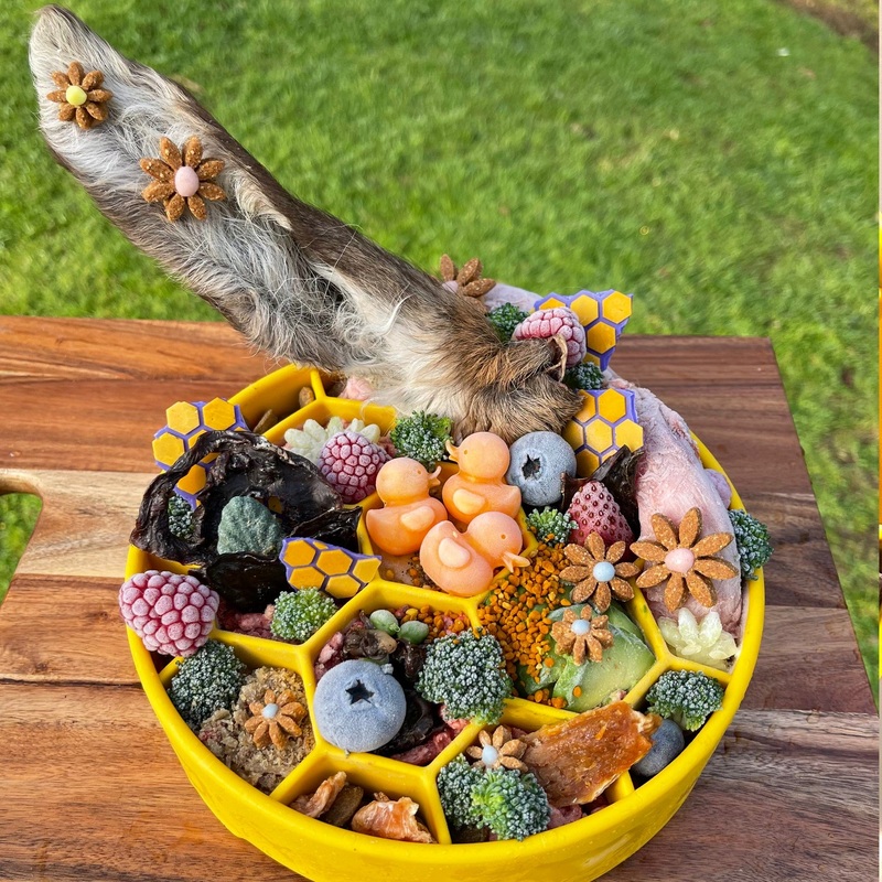 SodaPup  - Honeycomb eBowl Slow Feeder