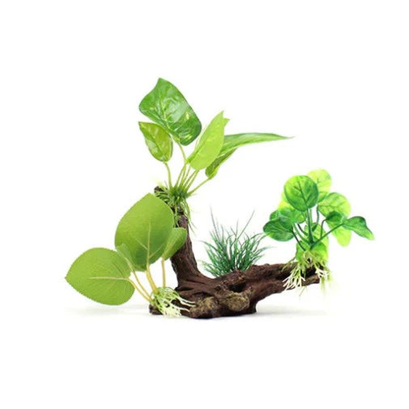 Aqua Care - Wood & Plant