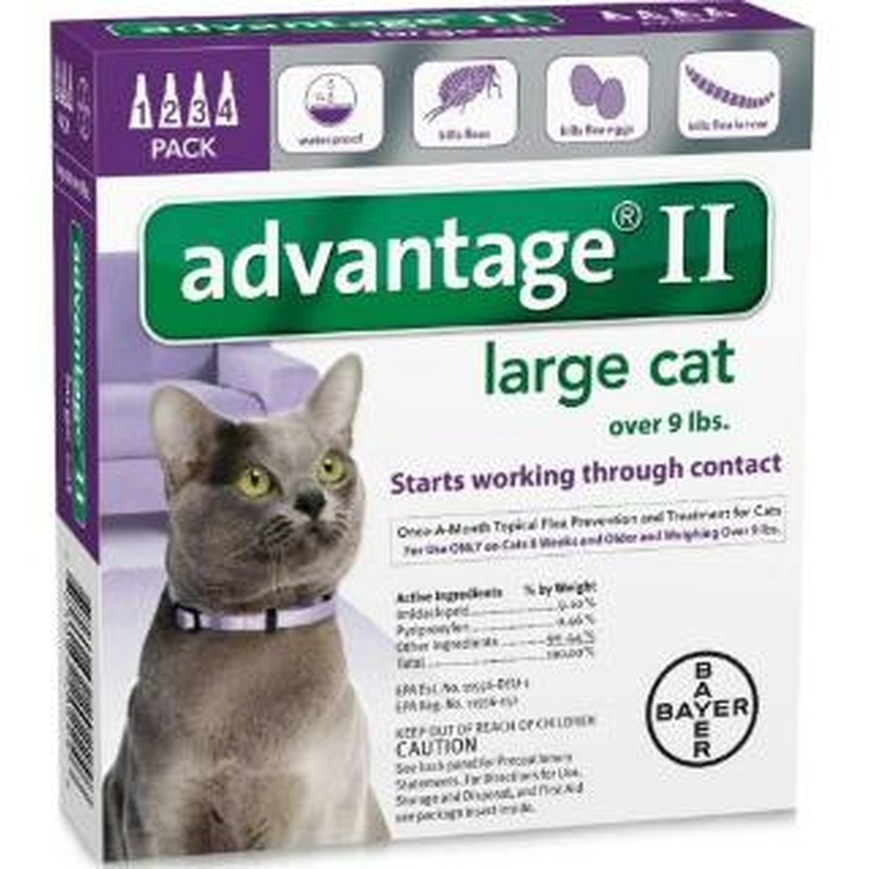 Bayer DVM Advantage II for Cats Over 9lb, 4 Month Supply