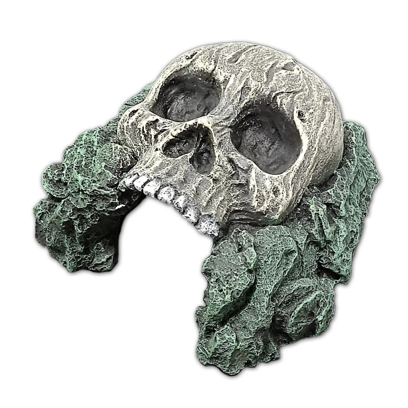 Human Skull Hide