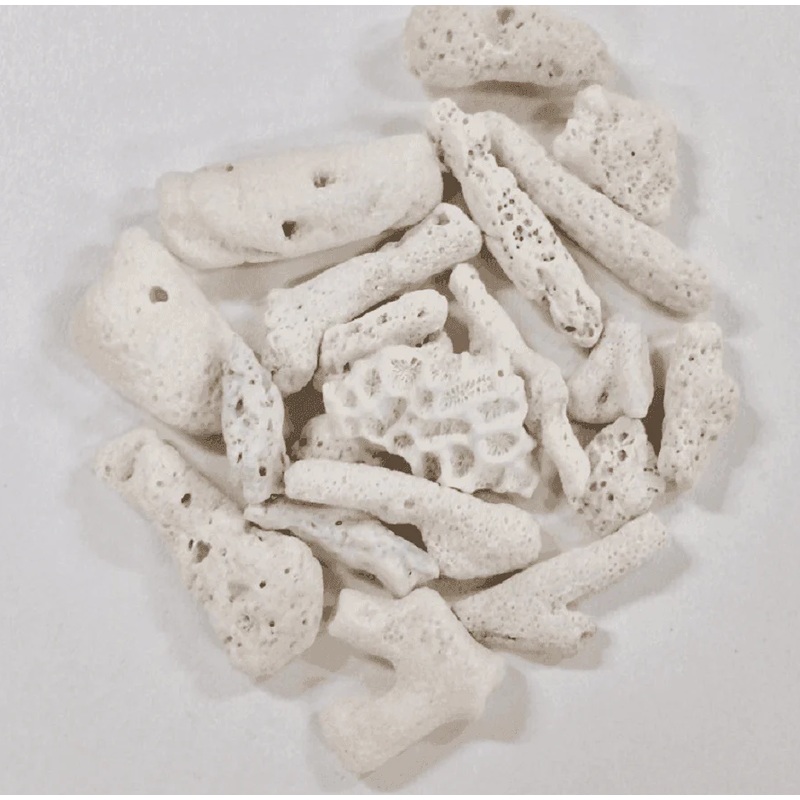 Kirby Coral Bones 20mm