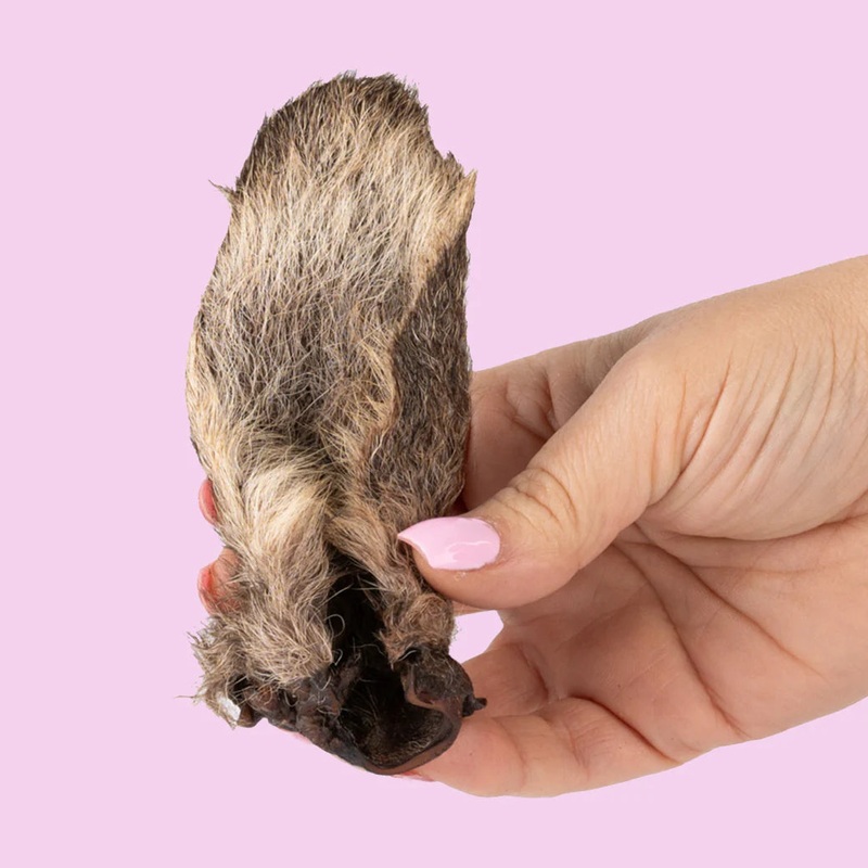Kirby Pet Treats Dehydrated Kangaroo Ears Fur On
