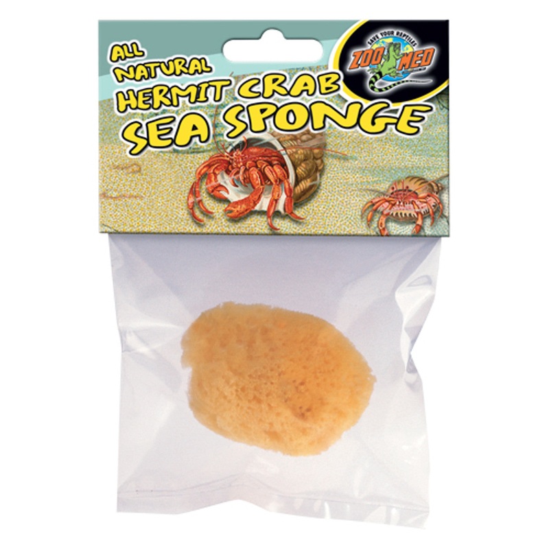 Hermit Crab Sponge