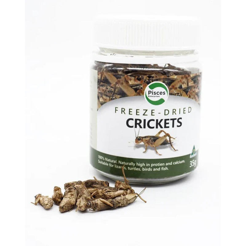 Pisces Freezedried Crickets Jar