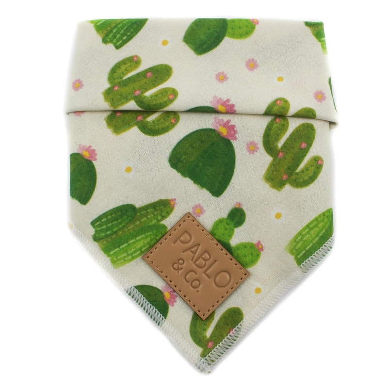 Pablo & Co Cactus Bandana