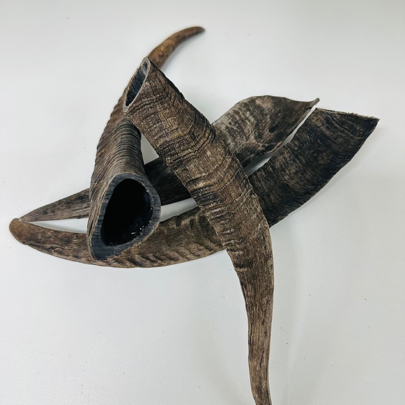 Kirby Pet Treats Goat Horns - Bone Out