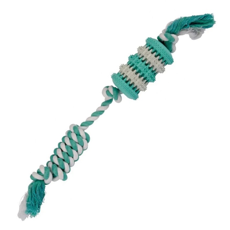 YD Fresheeze Dental Twister