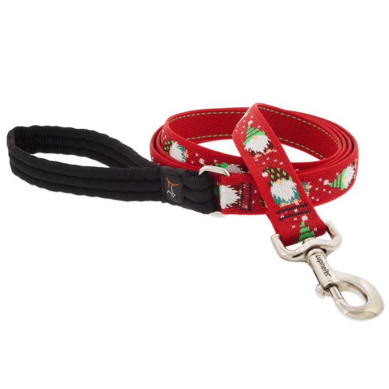 Lupine Dog Leash 1" Wide 4' Length Gnomes