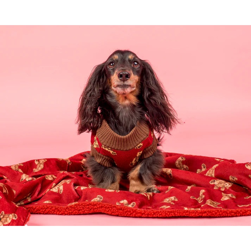 Pablo & Co Dog Blanket Henry Bear