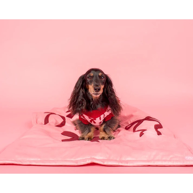 Pablo & Co Dog Blanket Velvet Blush Bows